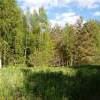 IMG-20210615-WA0048.jpg