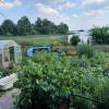 IMG-20240201-WA0041.jpg