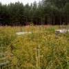 IMG-20240416-WA0005.jpg