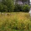 IMG-20240416-WA0006.jpg