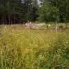 IMG-20240416-WA0007.jpg