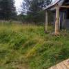 IMG-20240416-WA0008.jpg