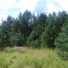 IMG_20200724_142709.jpg