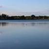 IMG_5866.JPG