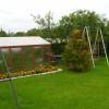 STP63036.JPG