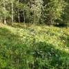 WhatsApp_Image_2025-03-19_at_15.17.10.jpeg