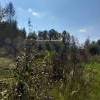 WhatsApp_Image_2025-03-19_at_15.17.12_1.jpeg
