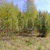watermarked-IMG_20160508_140324.jpg