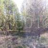 watermarked-IMG_20160508_140543.jpg