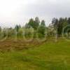 watermarked-IMG_20160517_174739.jpg