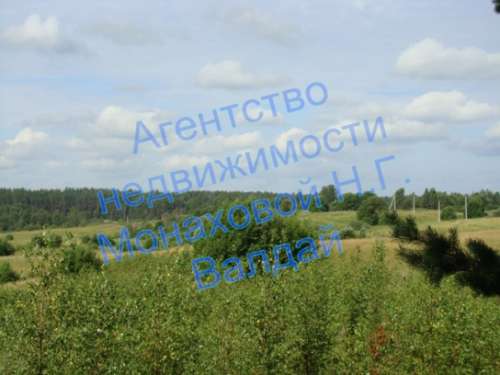 kobielievo184-2.jpg kobielievo184-2.jpg