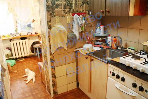 kost6.JPG