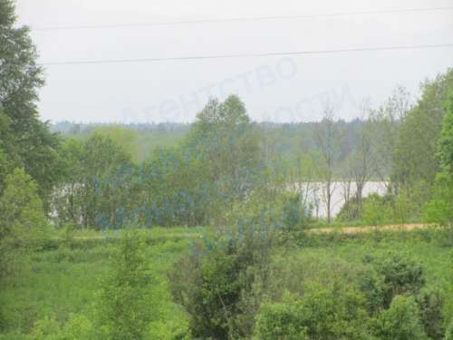 kozlovo2.jpg
