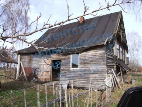 n2.JPG