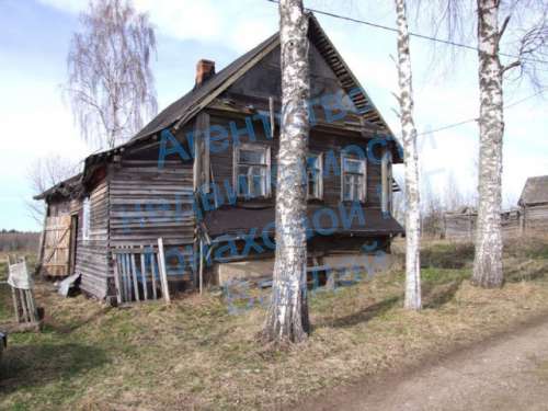 n3.JPG