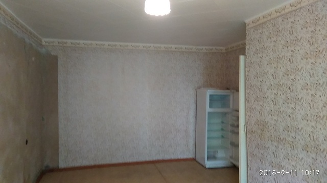 trud_-2.jpg