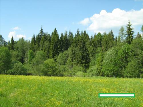uchastok_006.jpg uchastok_006.jpg