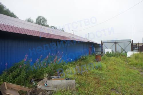 zimoghorgharazhi_5.JPG
